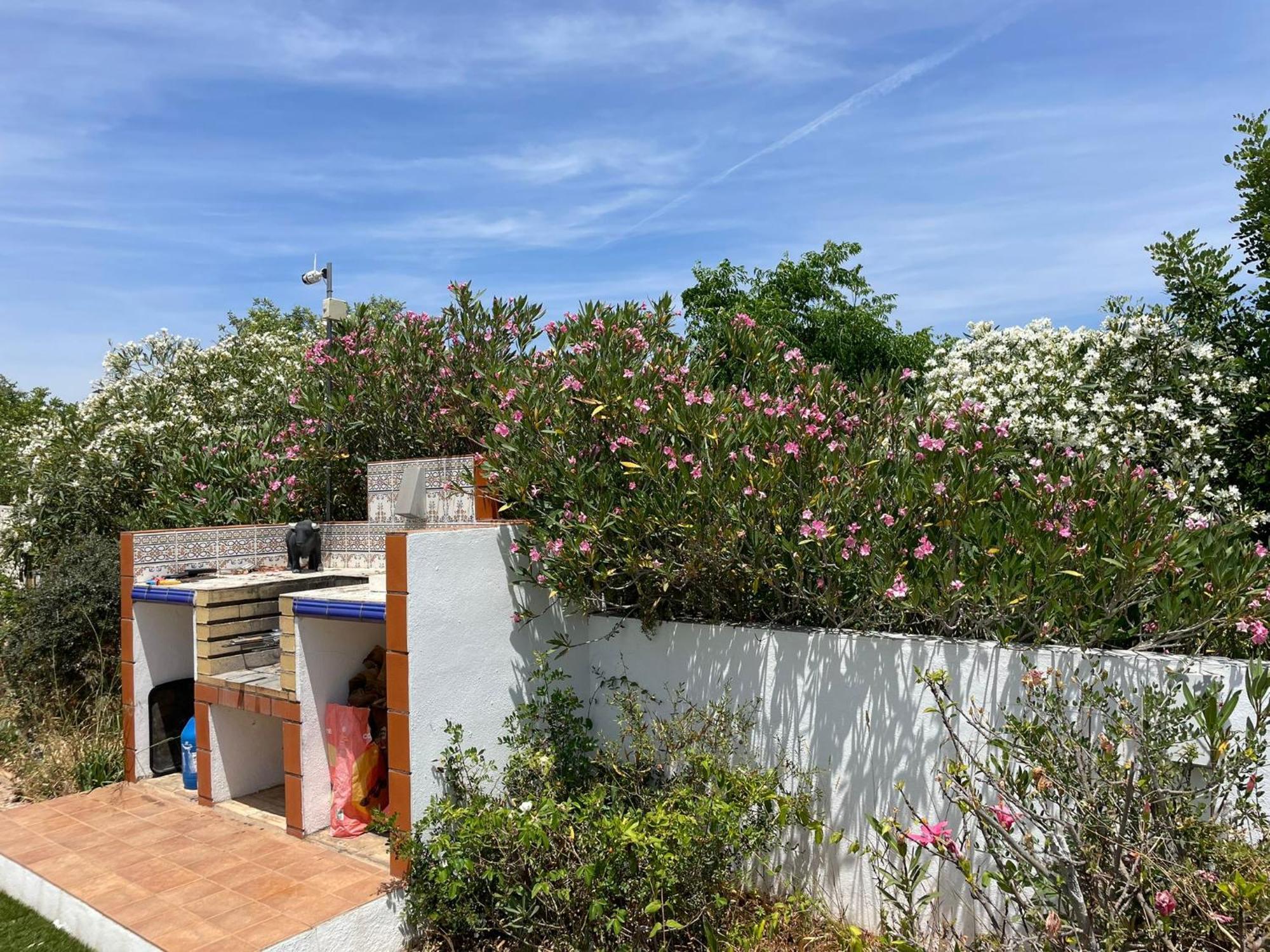 ローレ Casa Vista Dos Cerrosヴィラ エクステリア 写真